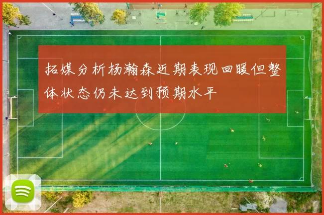 拓媒分析杨瀚森近期表现回暖但整体状态仍未达到预期水平