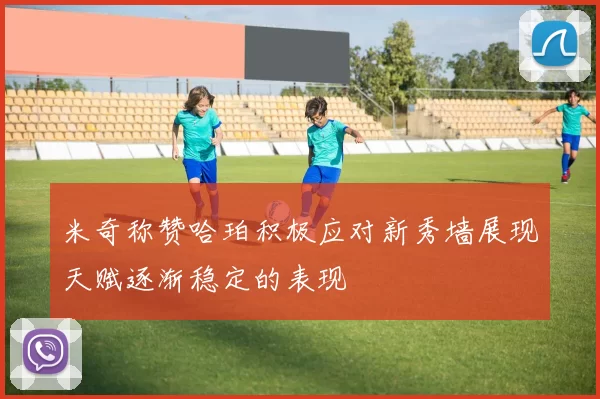 米奇称赞哈珀积极应对新秀墙展现天赋逐渐稳定的表现