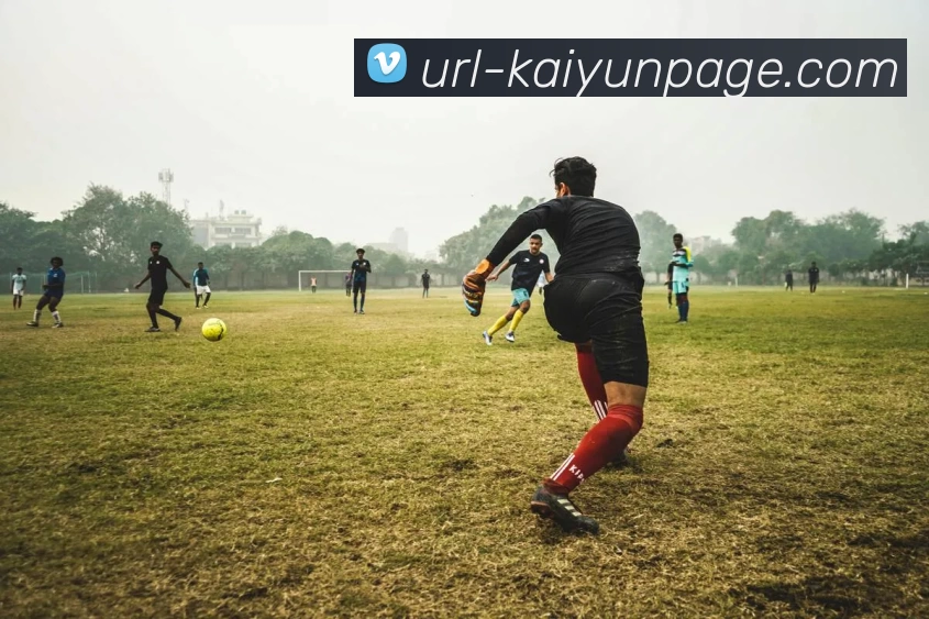 开云体育服务体系